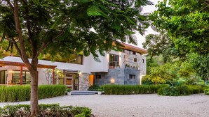 Una casa moderna con fachada de piedra, camino de grava y abundante vegetación.