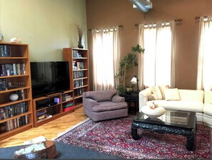 Cozy living room with a television, bookshelves, and a comfortable sofa.