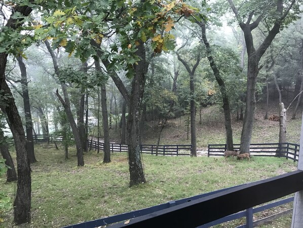 Property grounds - Escape to a Private Woodland Estate (Barrington)