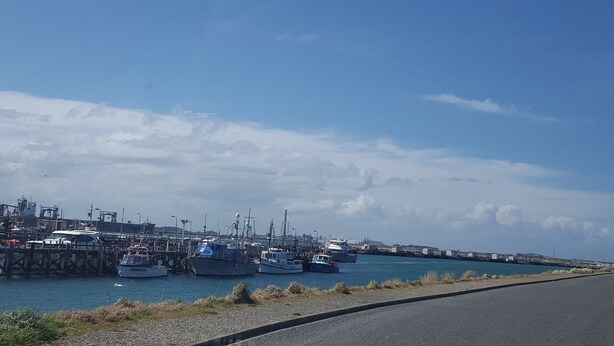 Un puerto deportivo con barcos amarrados, un puente al fondo y un cielo despejado.