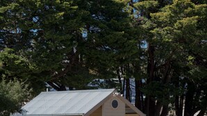 A small, single-story building with a metal roof, a picnic table, and a trash bin. - Paxton Square Cottages (Burra)