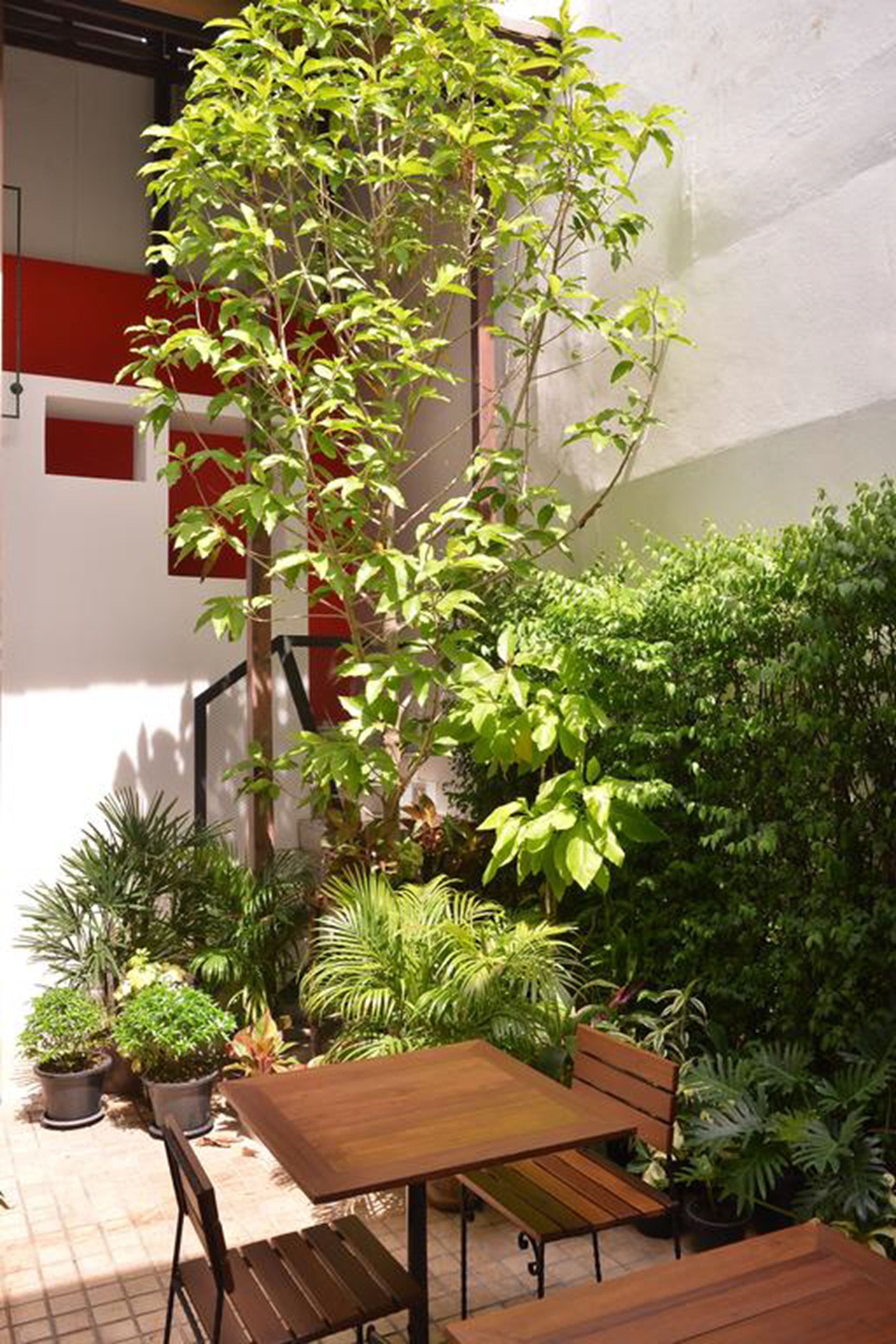 Un patio con una mesa y sillas de madera, rodeado de plantas en macetas y un árbol grande.