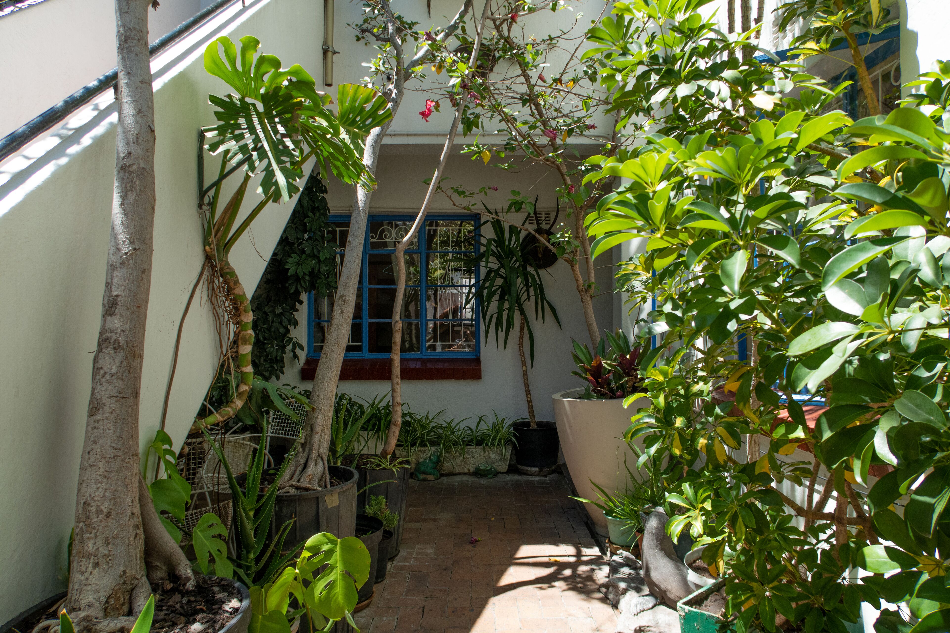 Foto - Long Street Backpackers