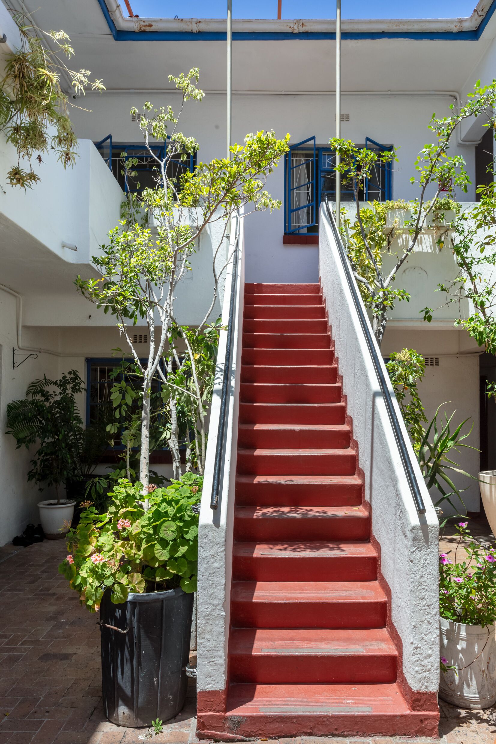 Foto - Long Street Backpackers