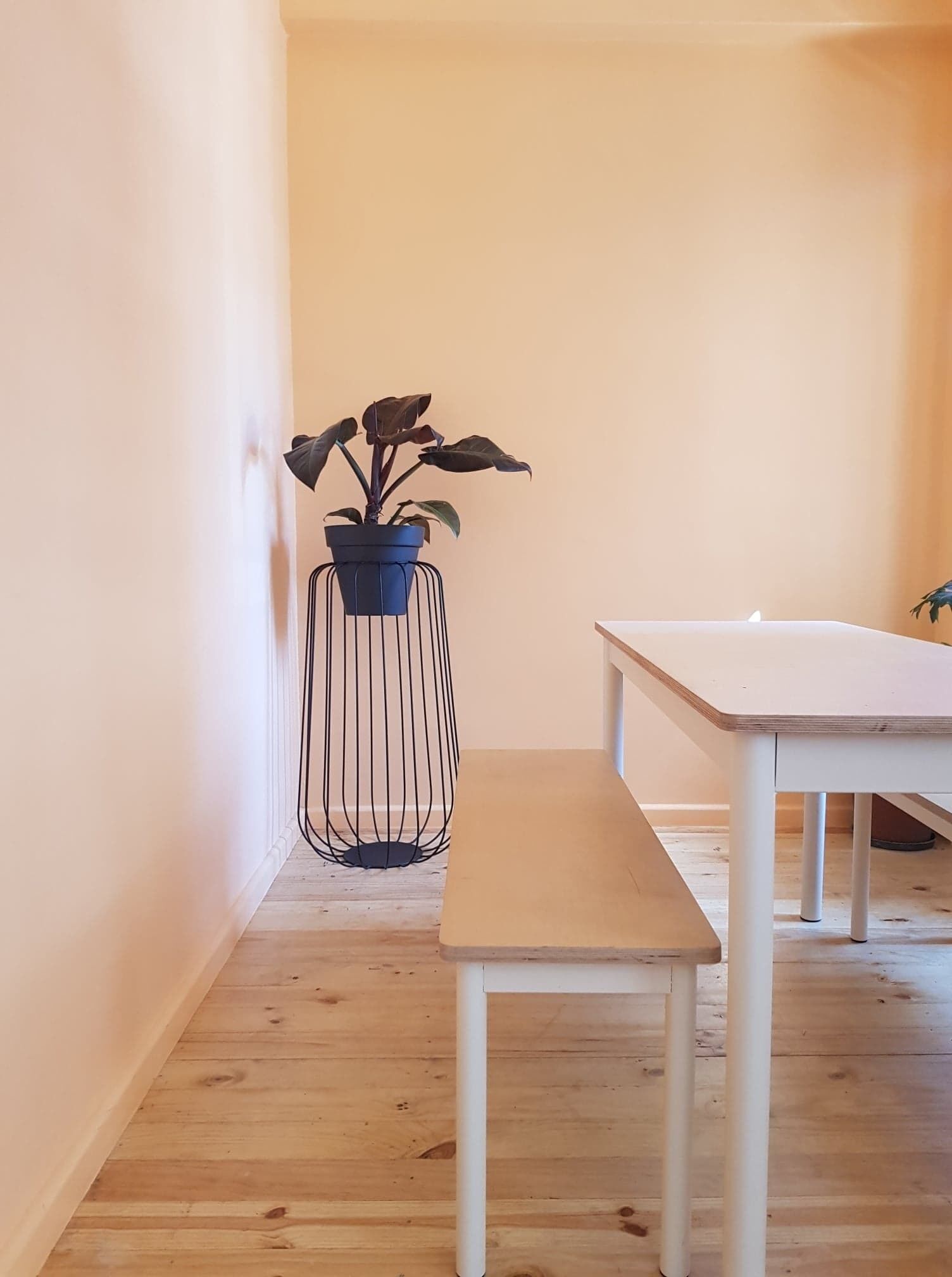 Foto - Long Street Backpackers