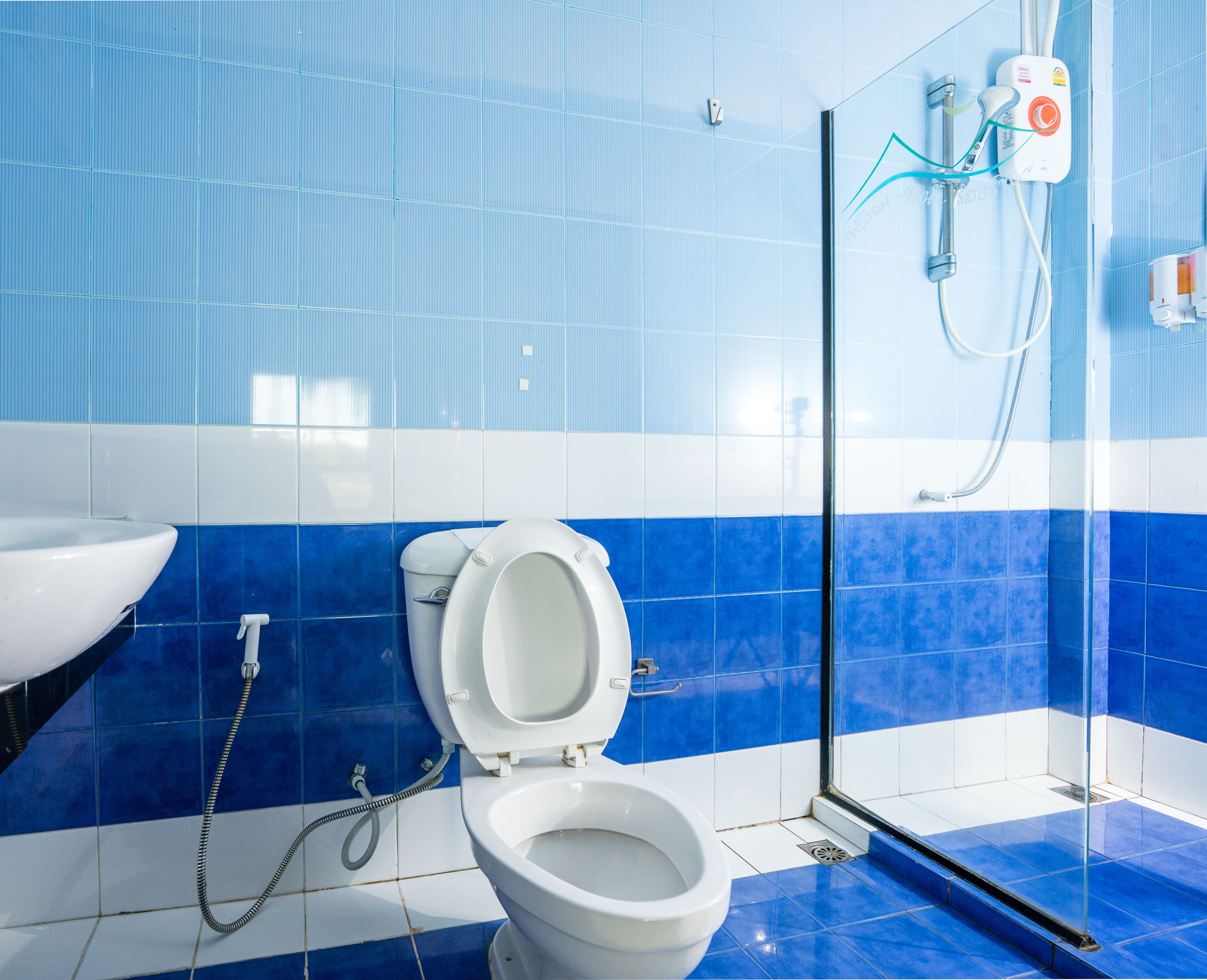 A bathroom with a white toilet, a sink, and a shower enclosure.