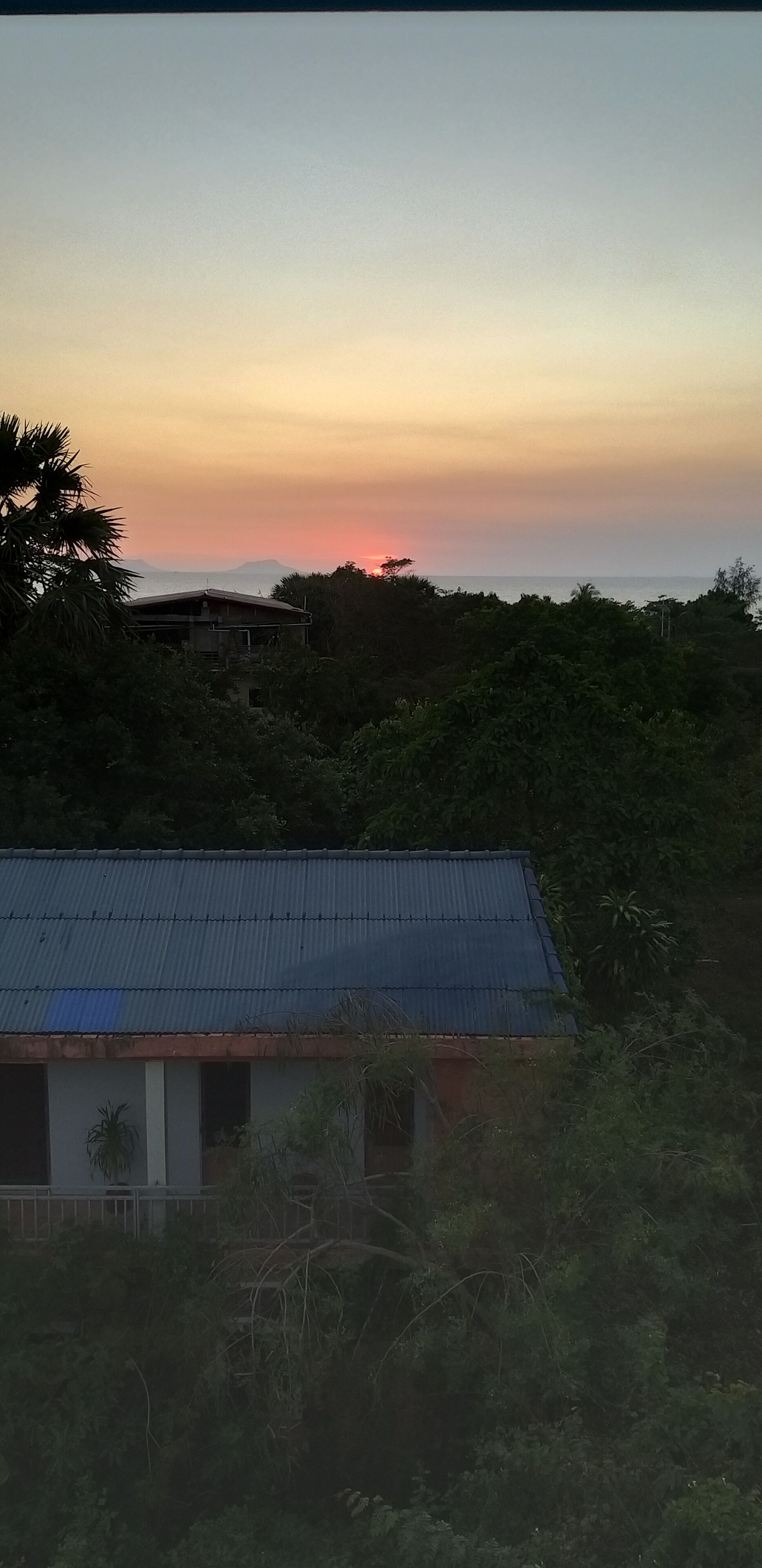 A building with a corrugated metal roof, surrounded by dense vegetation.