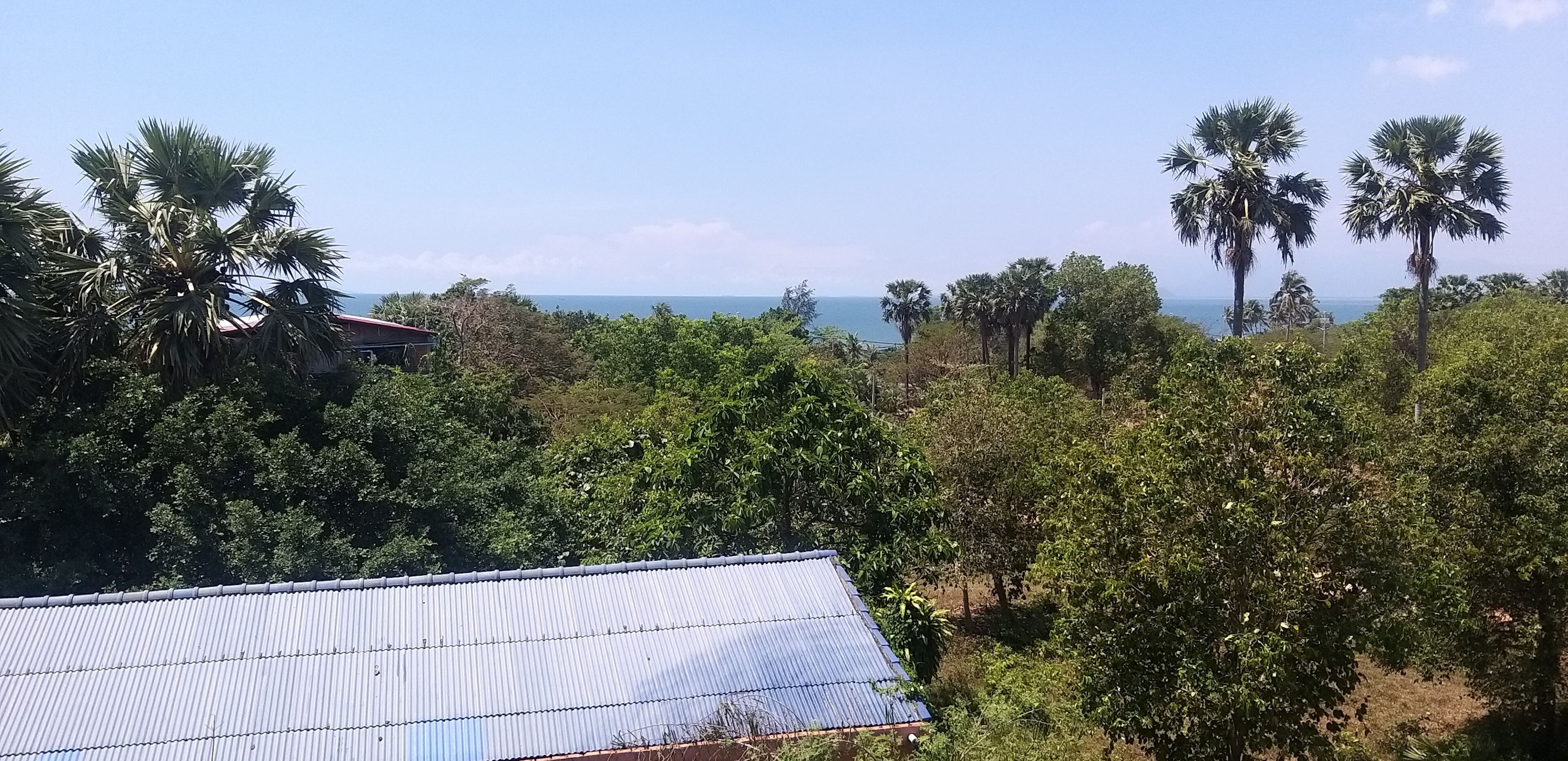 A view of a coastal area with dense vegetation and a building with a corrugated metal roof.