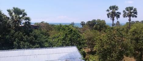 A view of a coastal area with dense vegetation and a building with a corrugated metal roof.