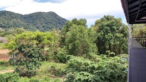 Een weids uitzicht op een weelderig groen landschap met dichte bomen en een berg op de achtergrond.