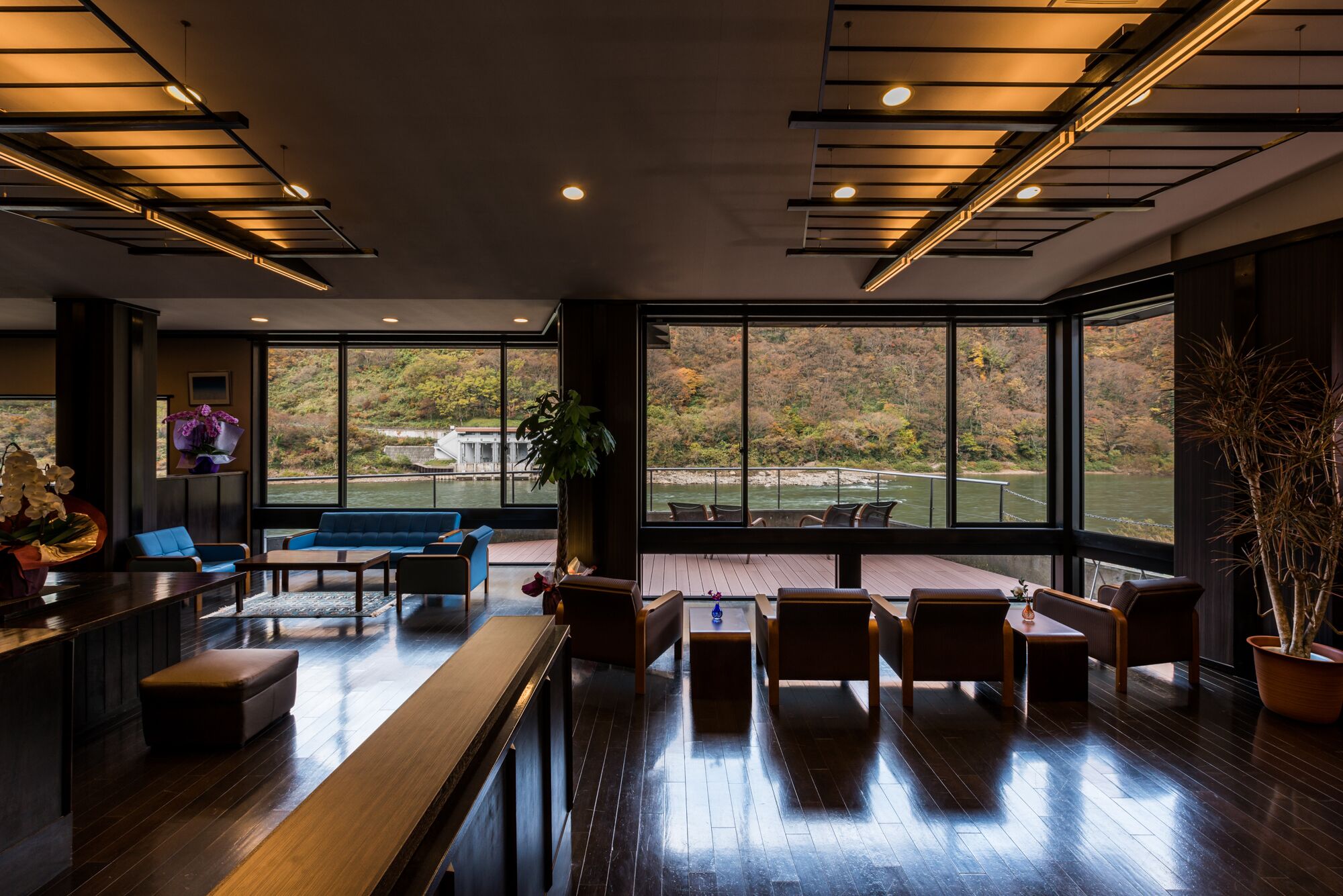 テラス / パティオ