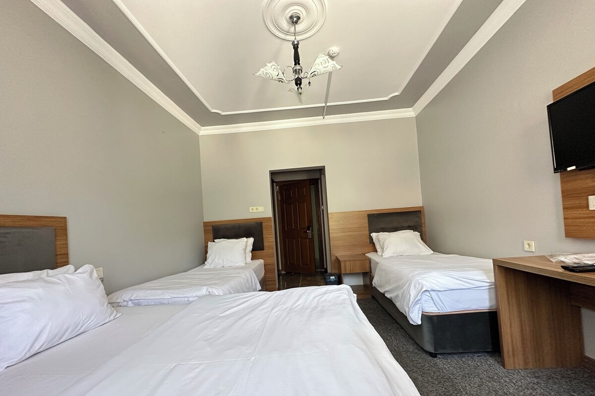 A hotel room with two single beds, a desk, a chair, a television, and a ceiling fan.
