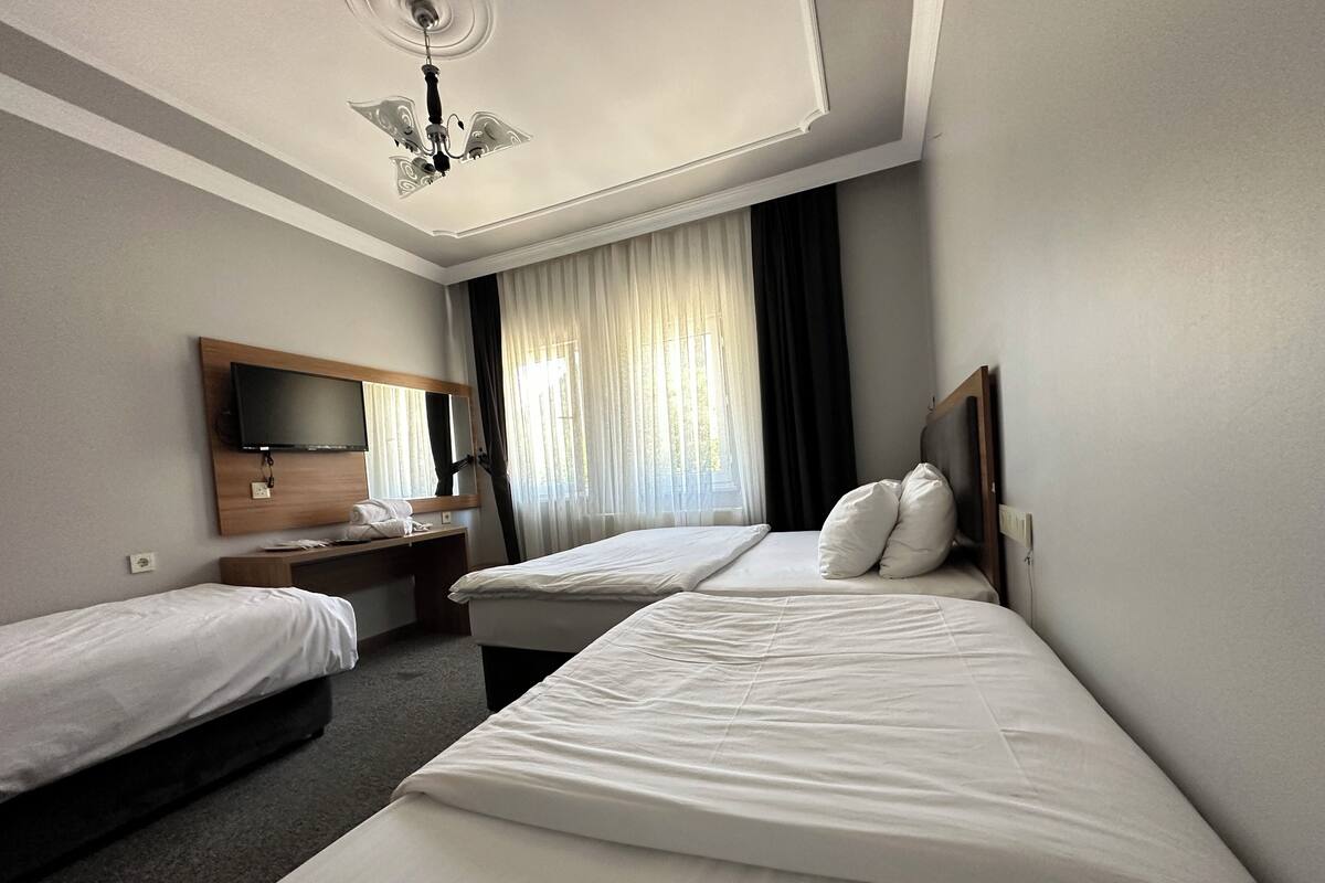 Desk, soundproofing, rollaway beds (surcharge), WiFi (free)