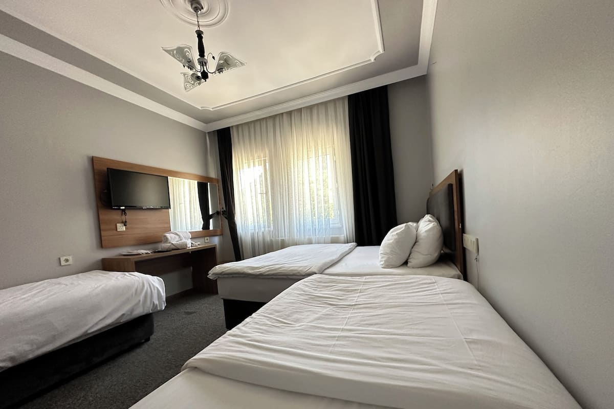 Desk, soundproofing, rollaway beds (surcharge), WiFi (free)
