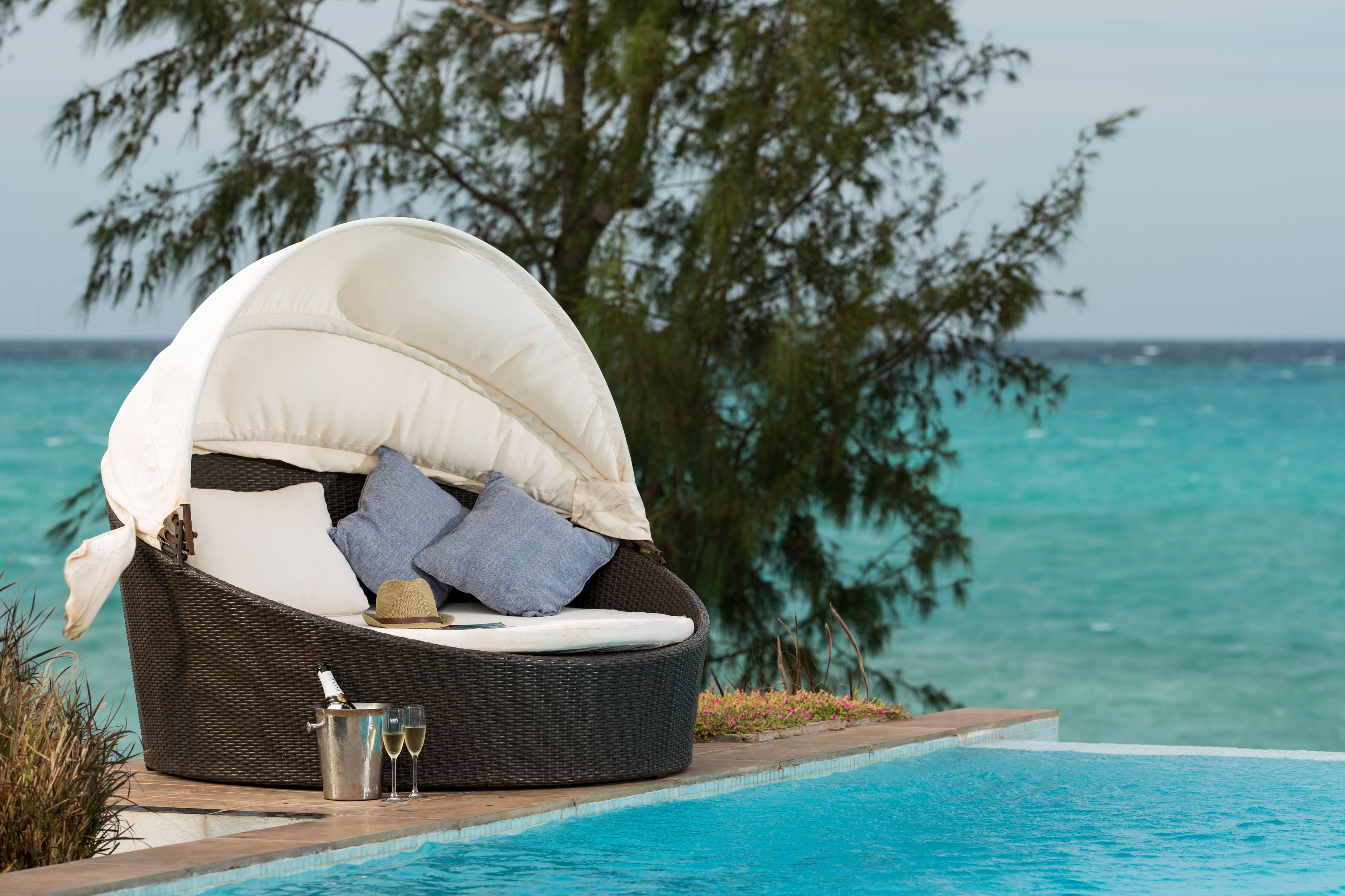 outdoor pool, pool loungers