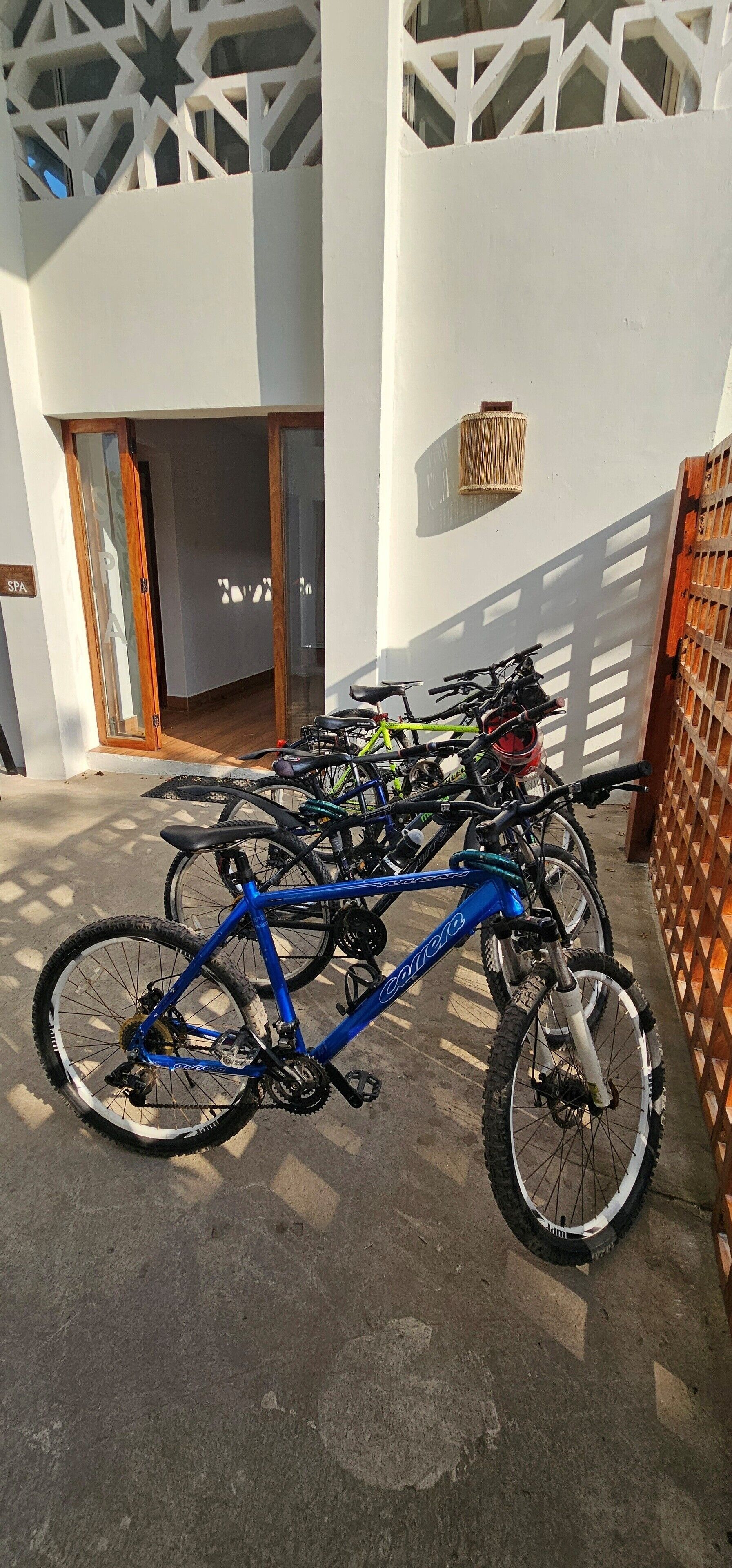 Una bicicletta blu con un cestino e una bottiglia d'acqua parcheggiata di fronte a un edificio dalla facciata geometrica e una porta in legno.