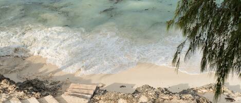 A beach with steps leading to the water, a palm tree, and a clear view of the ocean.