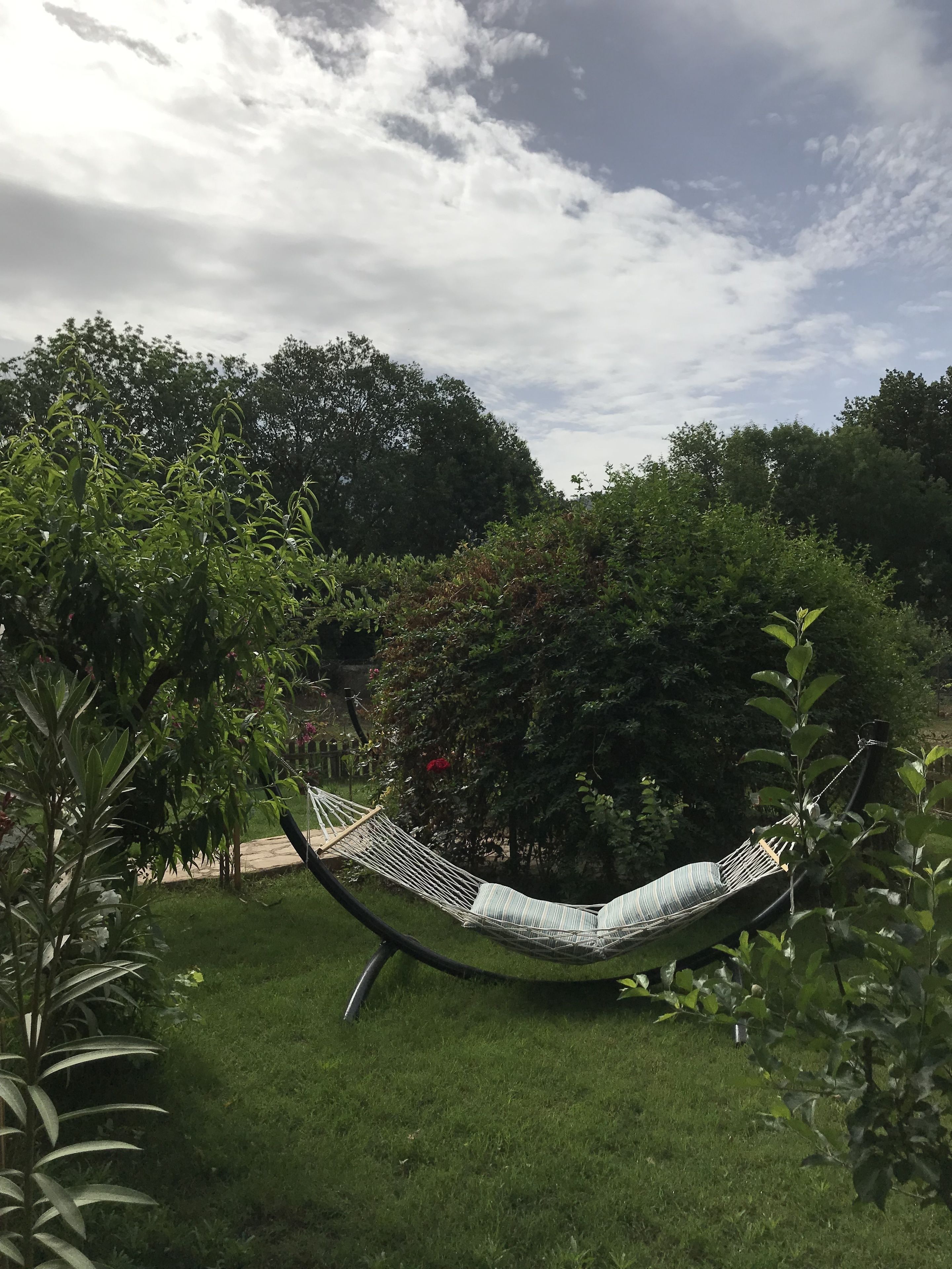 A hammock in a lush garden with dense foliage and trees in the background.