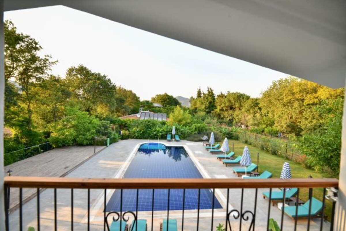 A rooftop pool area with lounge chairs and a view of a forested landscape.