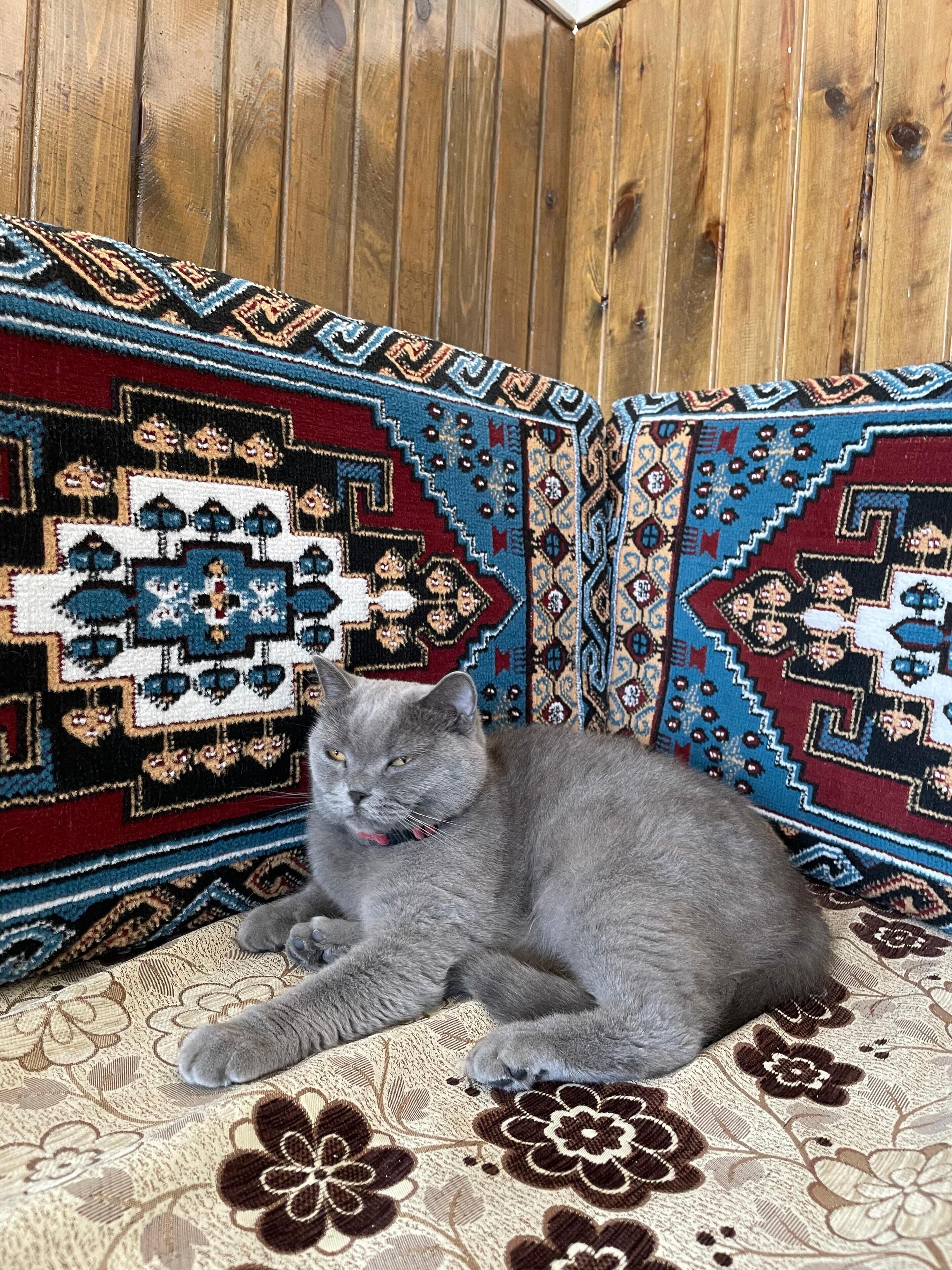 Photo - Avlu Cave House