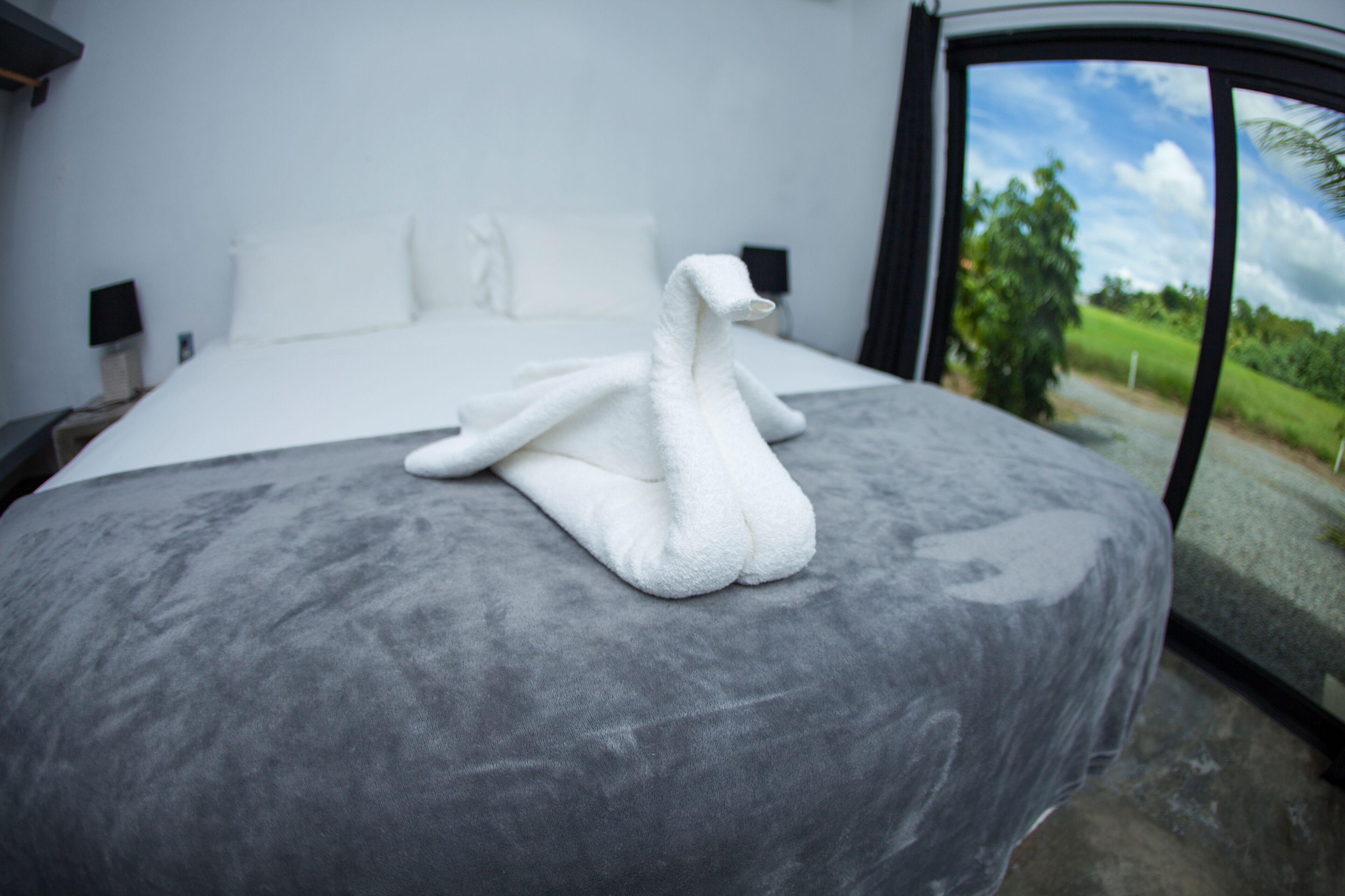 deluxe apartment | 1 bedroom, egyptian cotton sheets, premium bedding, down duvets