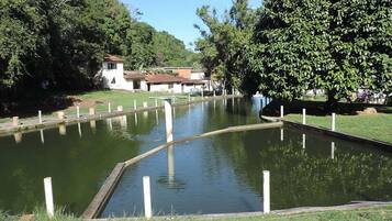 Lago