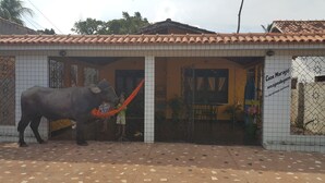 Property entrance - Casa Marajó (Soure)