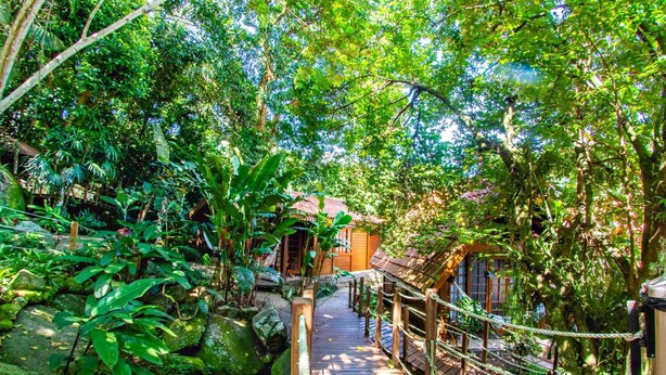 Property grounds - Pousada Mata Nativa (Angra dos Reis)