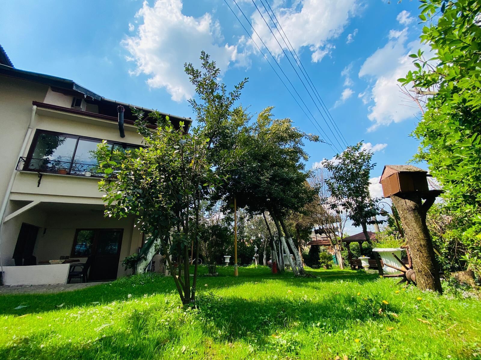 A residential area with a modern two-story house, a well-maintained lawn, and a tree with a birdhouse.