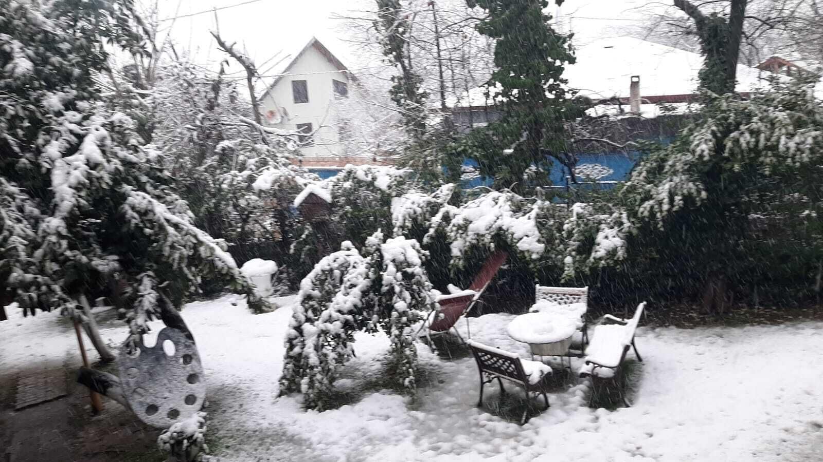 A snow-covered garden with a patio area featuring a table and chairs.