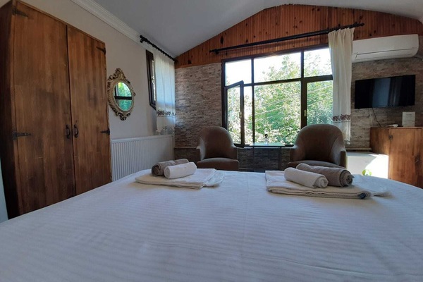 Double Room | Minibar, desk, iron/ironing board, free WiFi