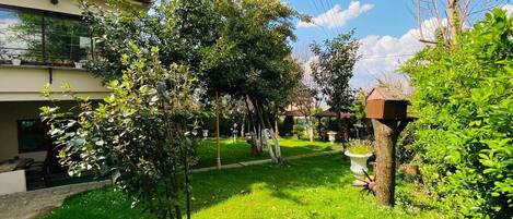 A residential garden with a modern house, a pergola, and a bird feeder.