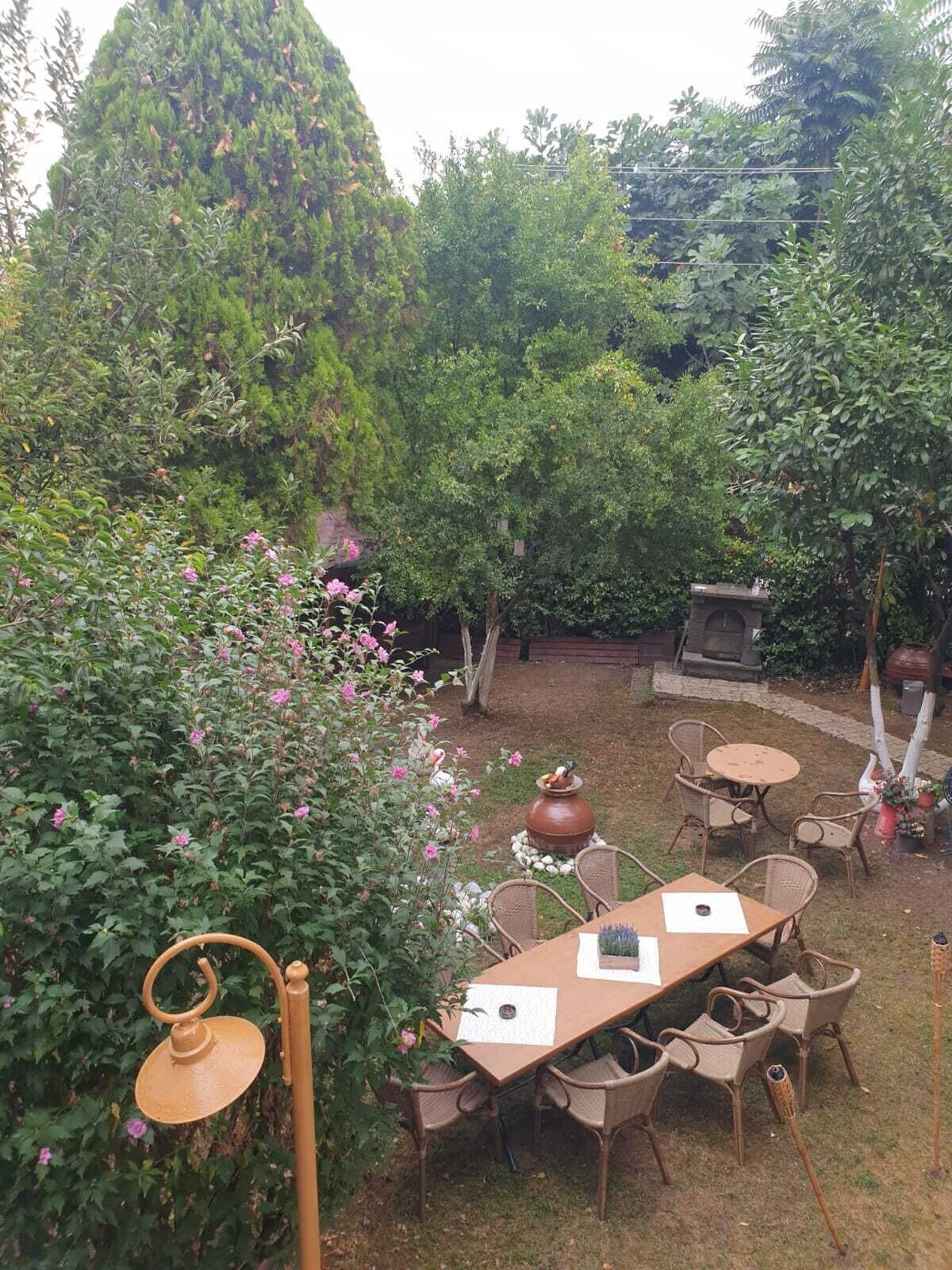 A garden patio with a table and chairs, surrounded by lush greenery and flowering plants.