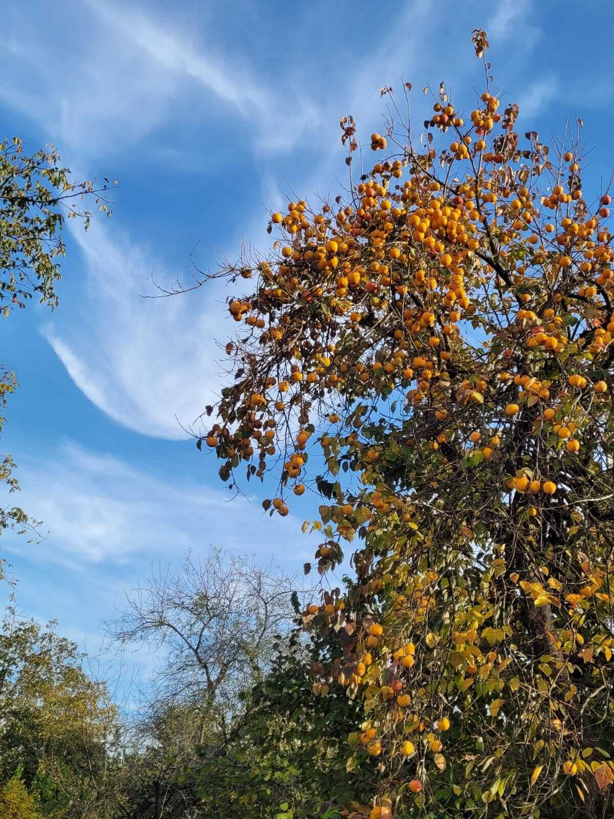 villa | view from room