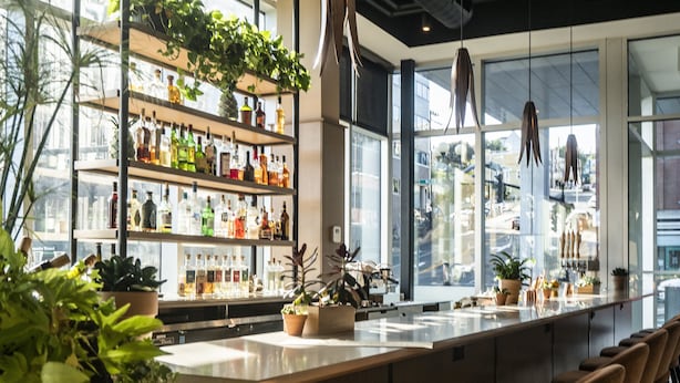 Een barruimte met flessenkasten, planten in potten en een uitzicht op de stad door grote ramen.