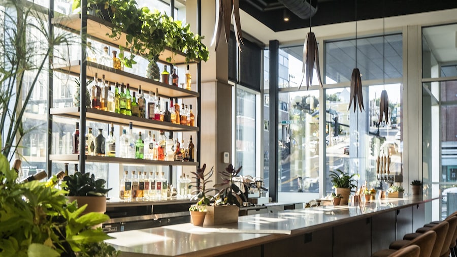 Alt Hotel St. John's