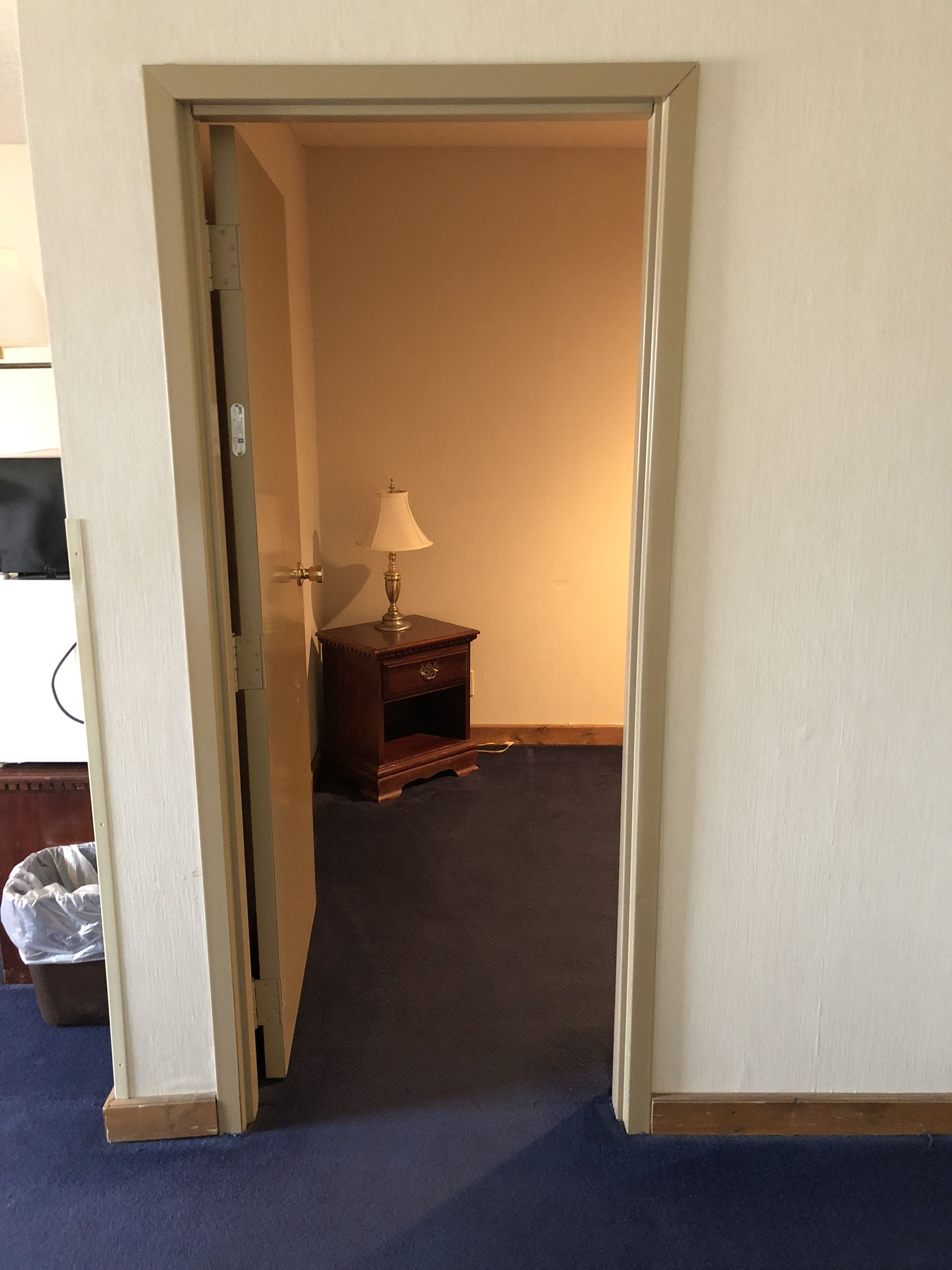 A room with a dark carpet, a wooden nightstand with a lamp, and a door leading to another room.