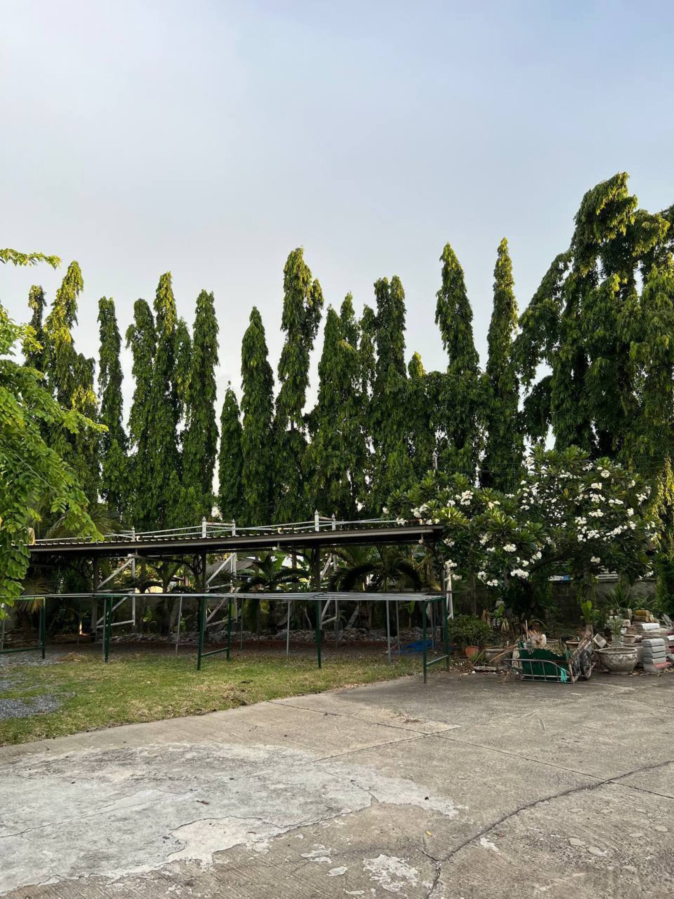Un área de estacionamiento de concreto con una estructura metálica de puente, rodeada de árboles altos y algunas plantas en macetas.