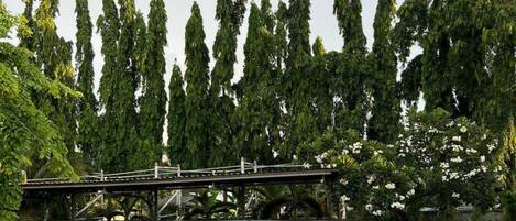 Un área de estacionamiento de concreto con una estructura metálica de puente, rodeada de árboles altos y algunas plantas en macetas.