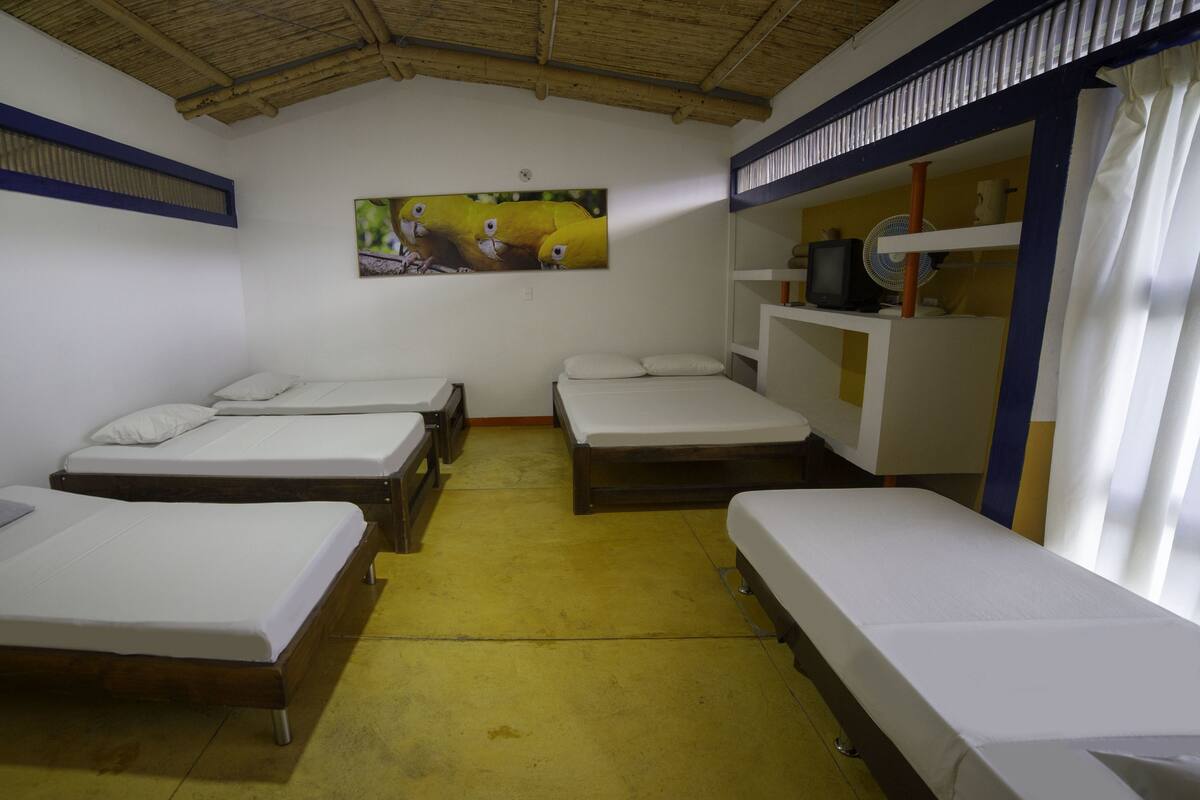 Iron/ironing board, rollaway beds, free WiFi, bed sheets