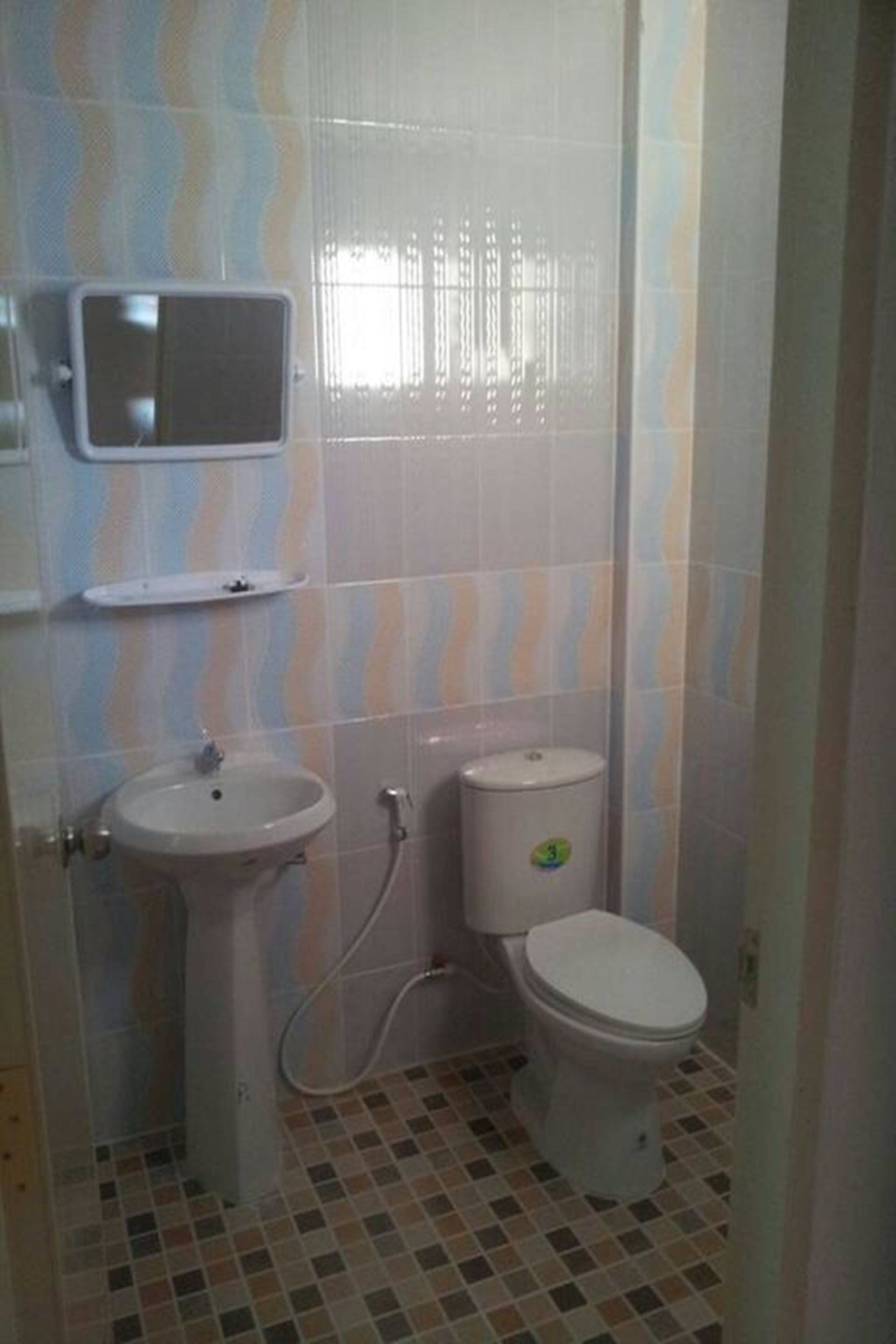 A bathroom with a sink, toilet, and a small shelf above the sink.