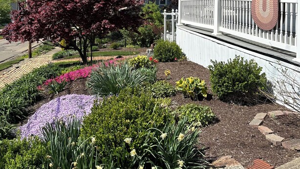 A white house with a porch, surrounded by a garden with various plants and flowers.