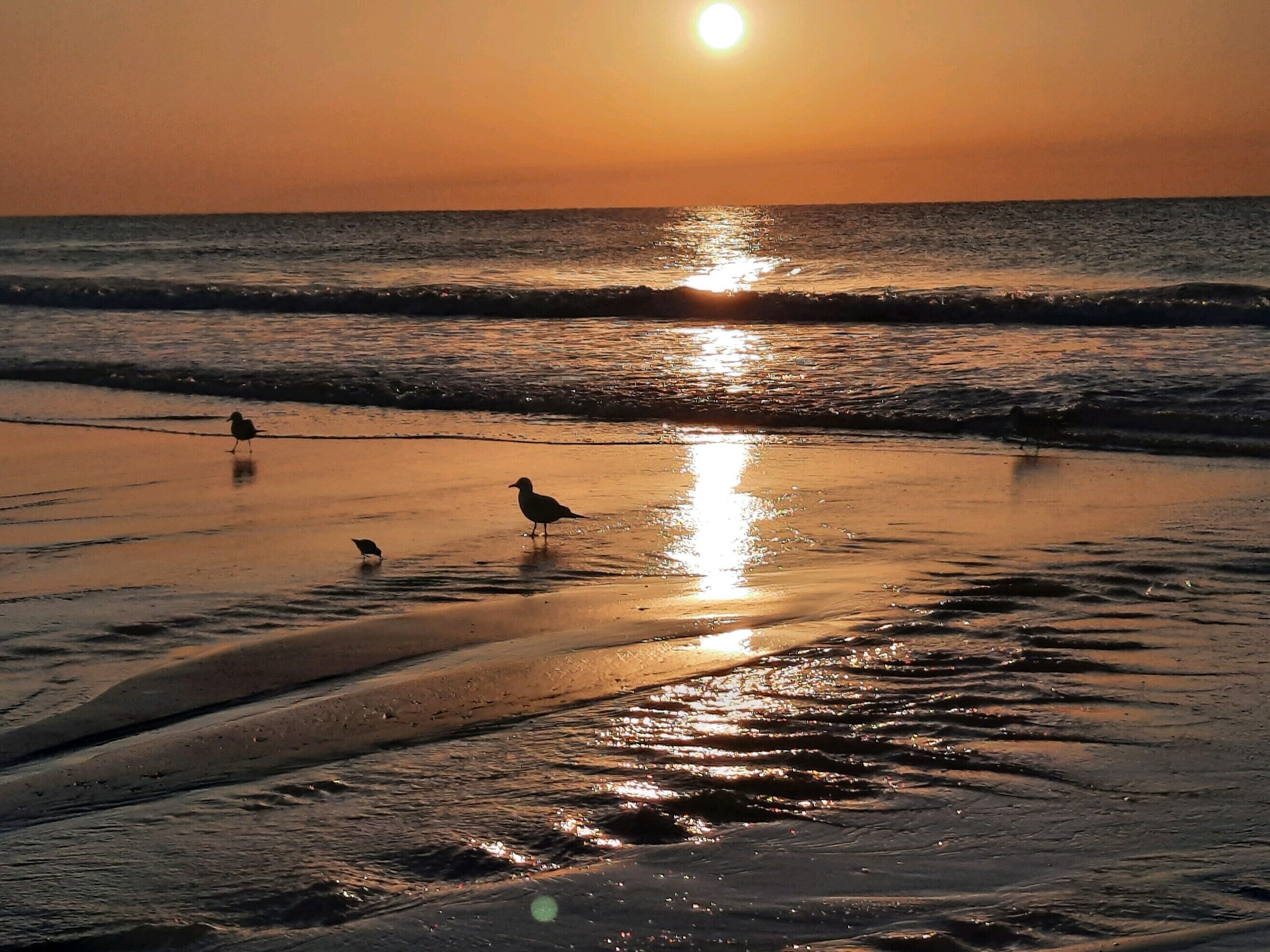 Una playa con el sol poniéndose sobre el océano, creando un reflejo en el agua.