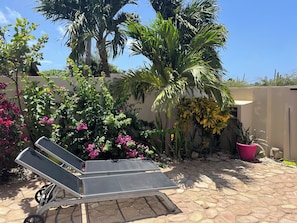 Terrace/patio - BEAUTIFUL AND PRIVATE APARTMENT IN PARADISE!!! (Noord)