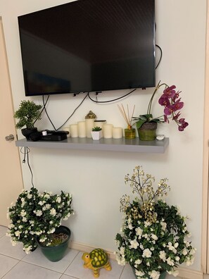 Interior - BEAUTIFUL AND PRIVATE APARTMENT IN PARADISE!!! (Noord)