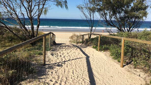 A sandy beach path leading to the ocean, surrounded by trees and a wooden fence.