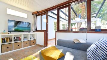 Una Smart TV, un reproductor de DVD, libros