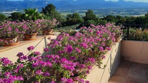 Terraço no telhado com vasos de flores rosa e vista para montanhas distantes.