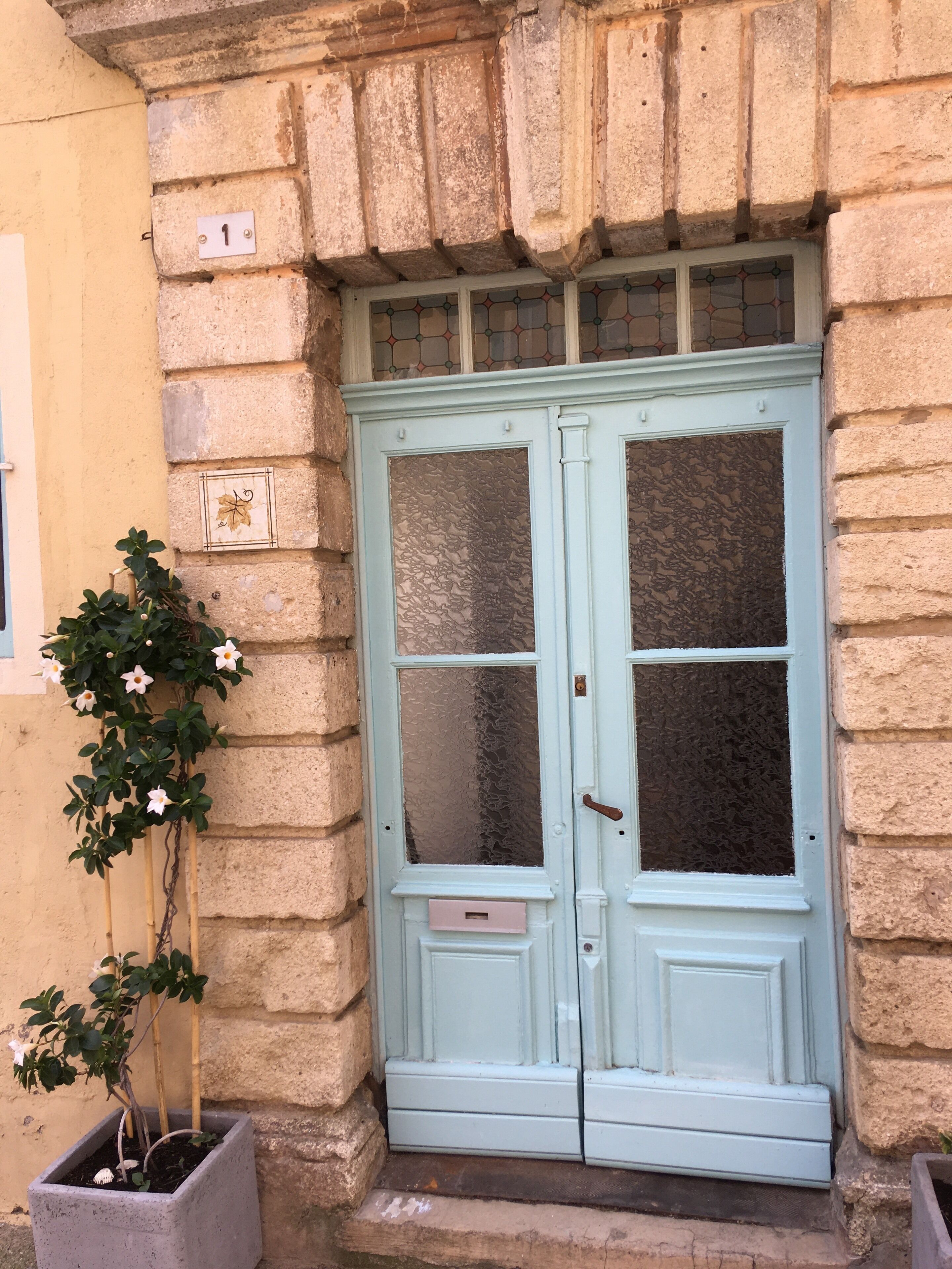 A light blue door with frosted glass panels, a small potted plant with white flowers, and a number plate '1' on the wall.