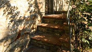 Uma escadaria de pedra leva a uma entrada de edifício, cercada por vegetação e uma planta florida.